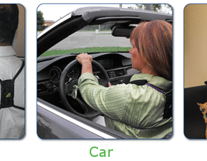 office-car-home_green Posture Medic